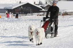 Lenk 2012 SM